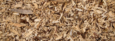 Produzione e commercio all'ingrosso di trucioli di legno